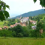 Du Koenigsbourg- Entre Vignes Et Chateau