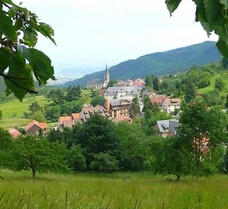 Du Koenigsbourg- Entre Vignes Et Chateau
