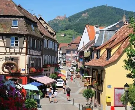 Du Koenigsbourg- Entre Vignes Et Chateau