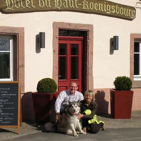 Hotell Du Koenigsbourg- Entre Vignes Et Chateau