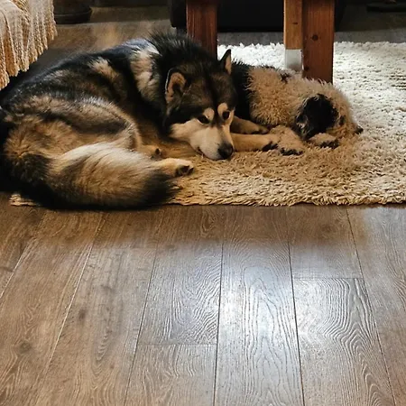 Hotel Du Koenigsbourg- Entre Vignes Et Chateau