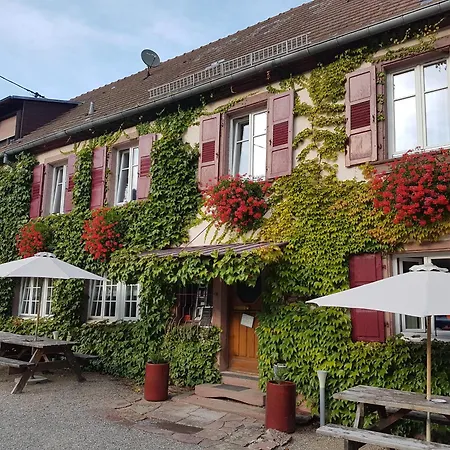 Du Koenigsbourg- Entre Vignes Et Chateau Hotell