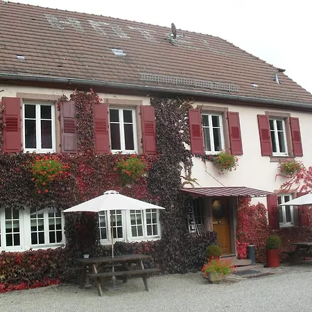 Hotell Du Koenigsbourg- Entre Vignes Et Chateau 3*